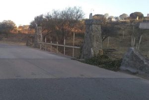 Antes: Enredaderas en la calle