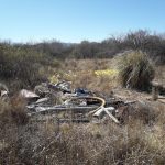 Toda la basura acumulada