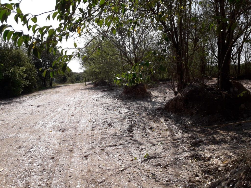 Apertura de calles finalizada