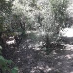 Después: Basurales limpios